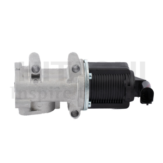 2505967 - EGR Valve 