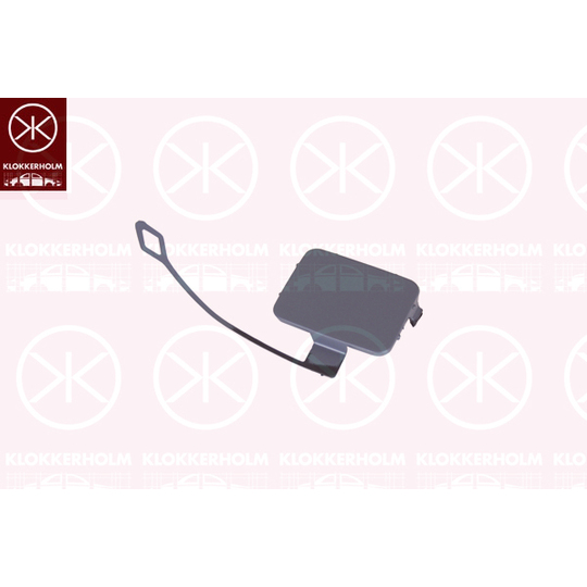 0062919A1 - Flap, tow hook 