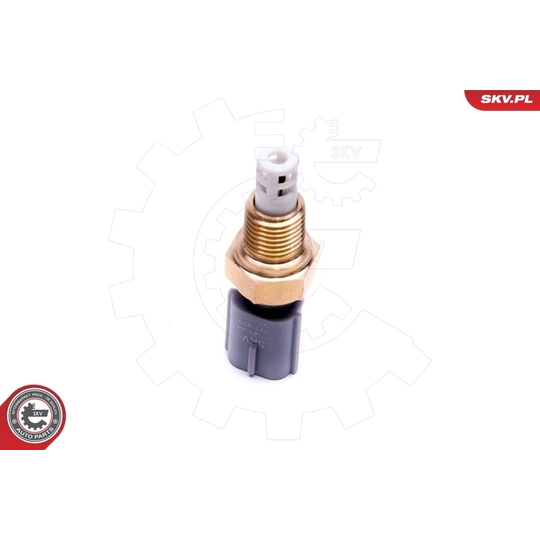 17SKV684 - Sensor, intake air temperature 