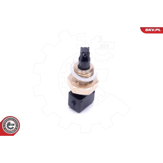 17SKV685 - Sensor, insugslufttemperatur 