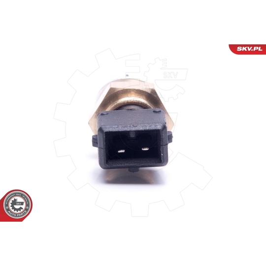 17SKV685 - Sensor, insugslufttemperatur 