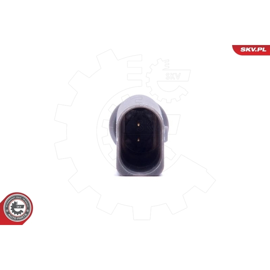 17SKV702 - Sensor, exterior temperature 