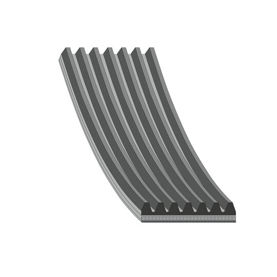 AD07R2443 - V-Ribbed Belt 