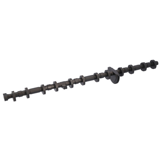 33 10 9713 - Camshaft 