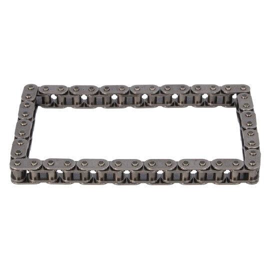 33 11 0013 - Timing Chain 