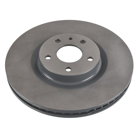 33 10 5260 - Brake Disc 