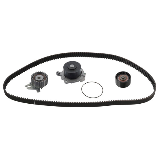 33 10 7313 - Water Pump & Timing Belt Set 