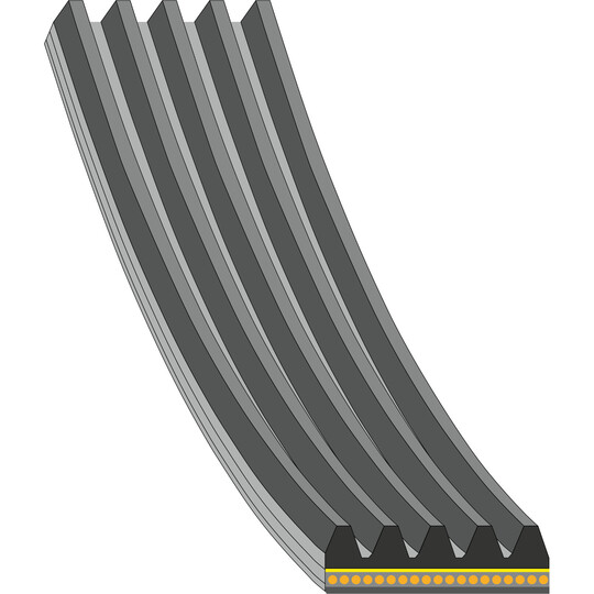 33 10 8173 - V-Ribbed Belt 