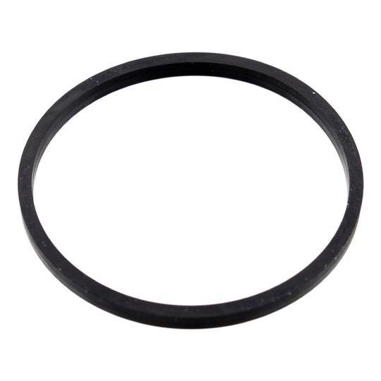 10 10 0055 - Gasket, thermostat 