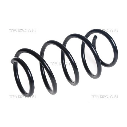 8750 14132 - Coil Spring 