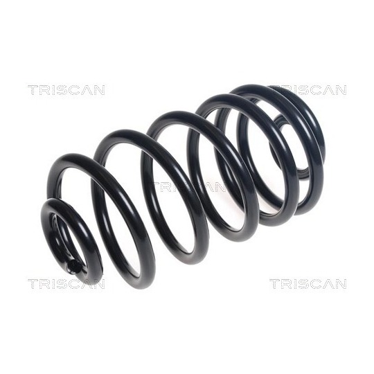 8750 23221 - Coil Spring 