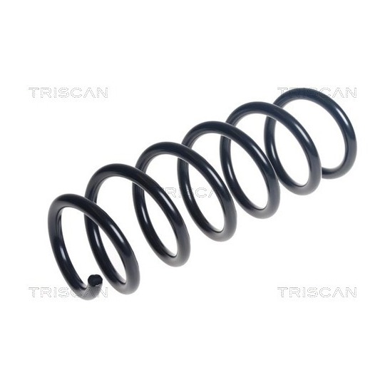 8750 11257 - Coil Spring 