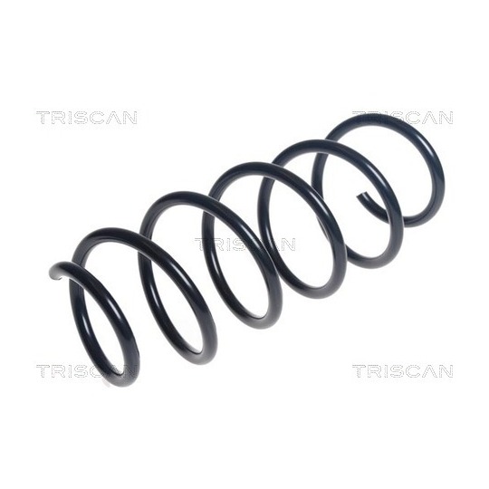 8750 40113 - Coil Spring 