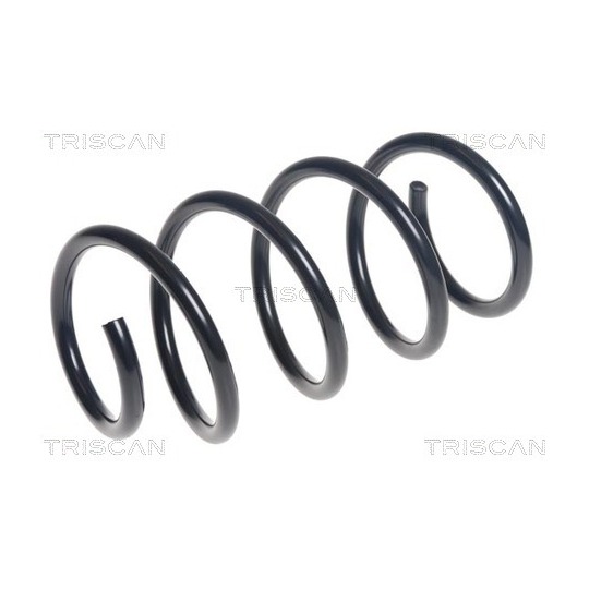 8750 29535 - Coil Spring 