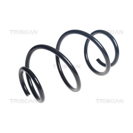 8750 24224 - Coil Spring 