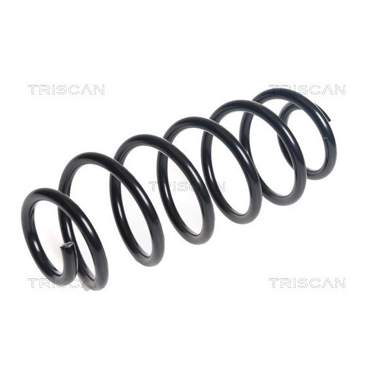 8750 13238 - Coil Spring 