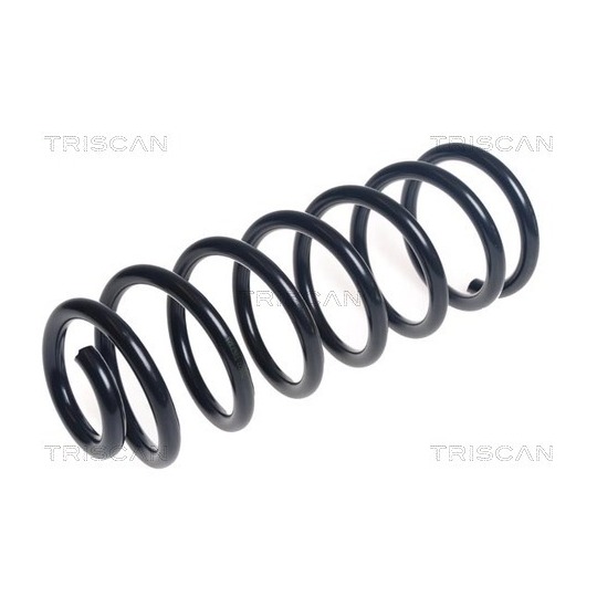 8750 16165 - Coil Spring 