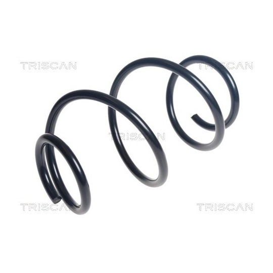 8750 24225 - Coil Spring 