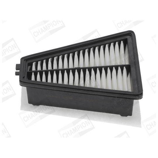 CAF101223P - Air filter 