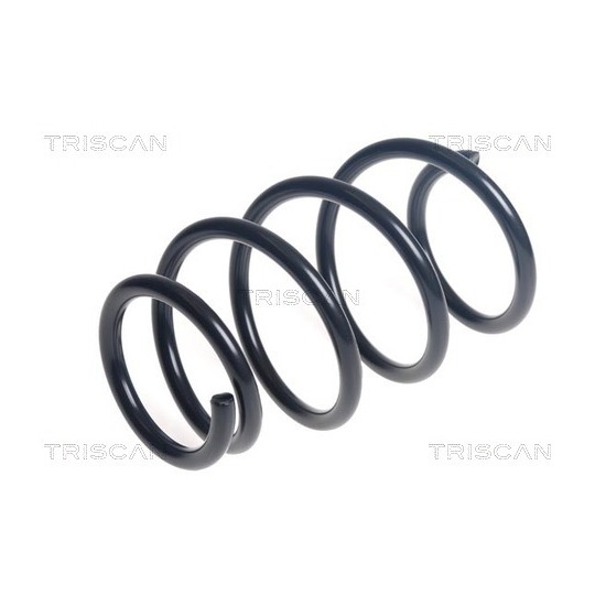 8750 13235 - Coil Spring 