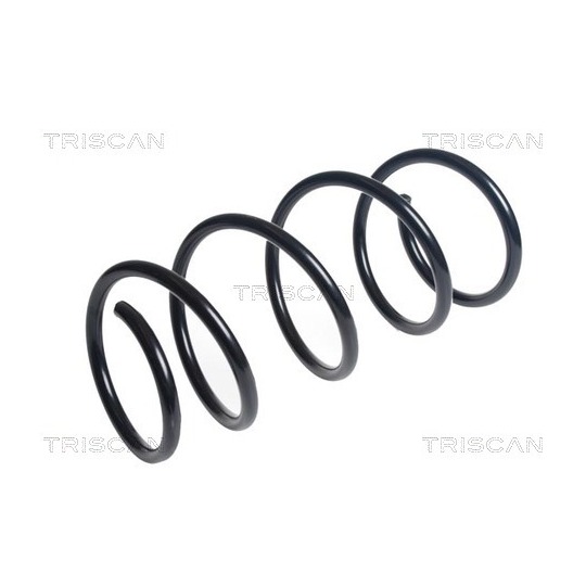 8750 13234 - Coil Spring 