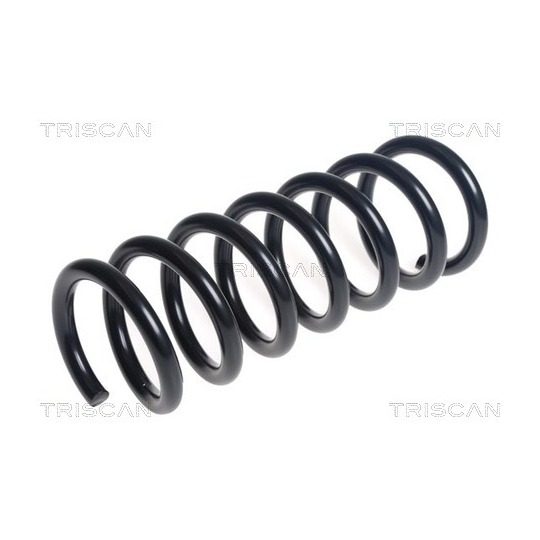 8750 16192 - Coil Spring 