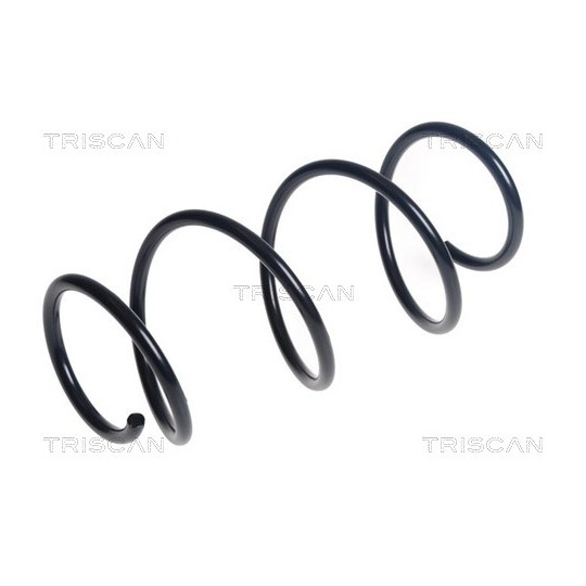 8750 25146 - Coil Spring 