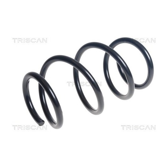 8750 14135 - Coil Spring 