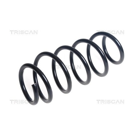 8750 16176 - Coil Spring 