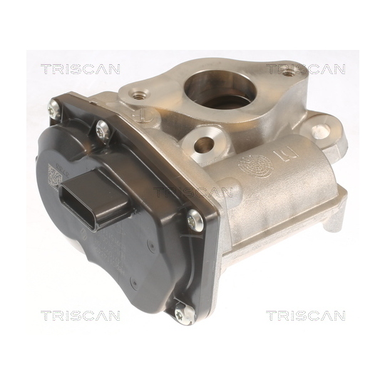 8813 10055 - EGR Valve 