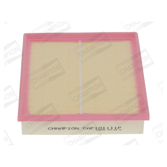 CAF101111P - Air filter 