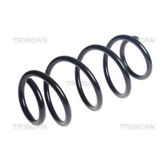 8750 28309 - Coil Spring 