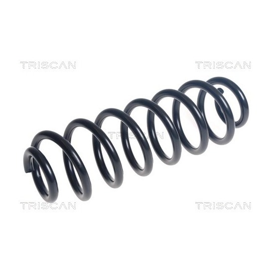 8750 29512 - Coil Spring 