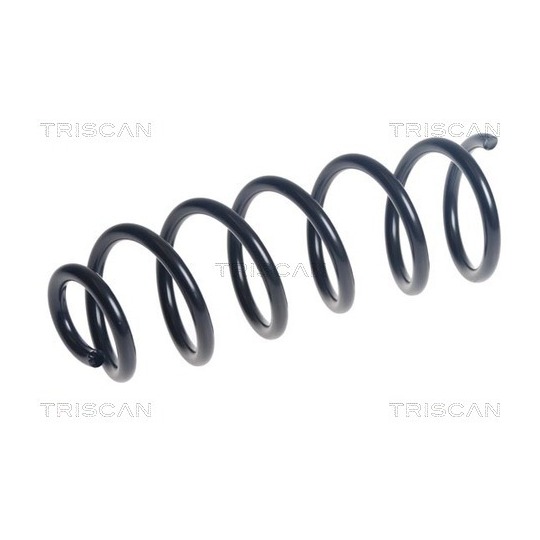 8750 25139 - Coil Spring 