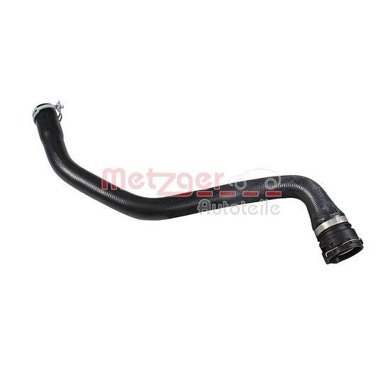 2421604 - Radiator Hose 