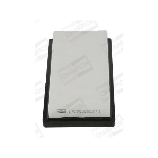 CAF101386P - Air filter 