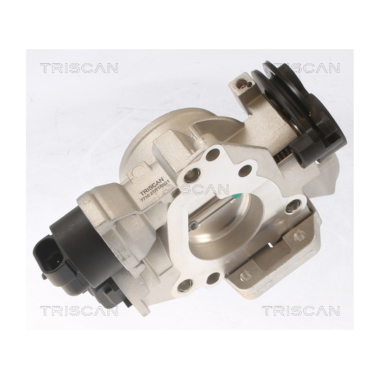 8820 25006 - Throttle body 