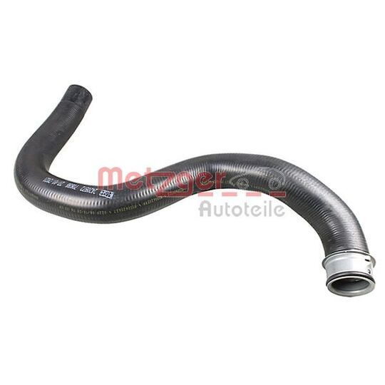 2420972 - Radiator Hose 