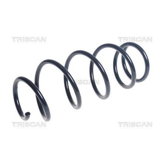 8750 1049 - Coil Spring 