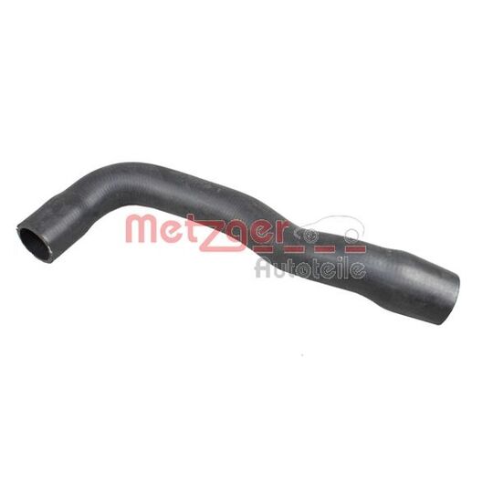 2420284 - Radiator Hose 