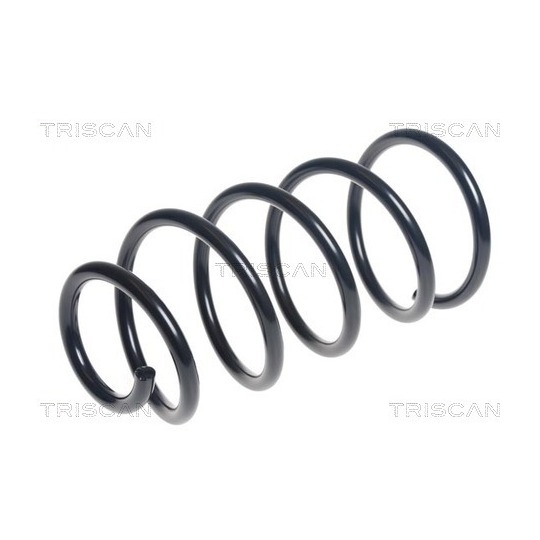 8750 16169 - Coil Spring 