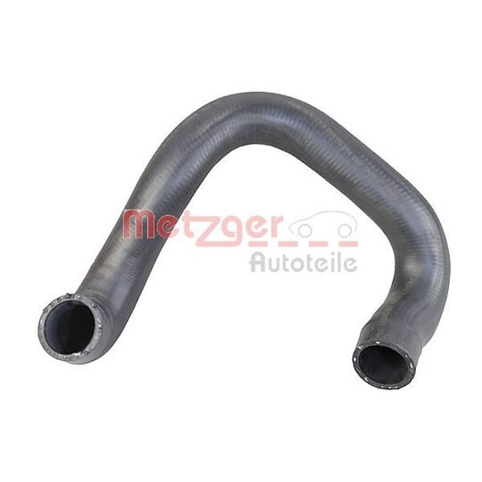 2421375 - Radiator Hose 