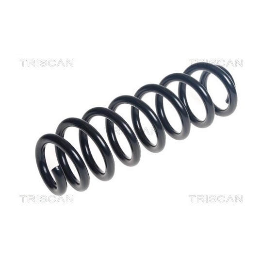 8750 24228 - Coil Spring 