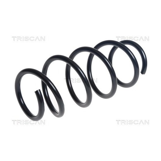 8750 16154 - Coil Spring 