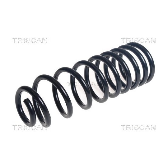 8750 16163 - Coil Spring 