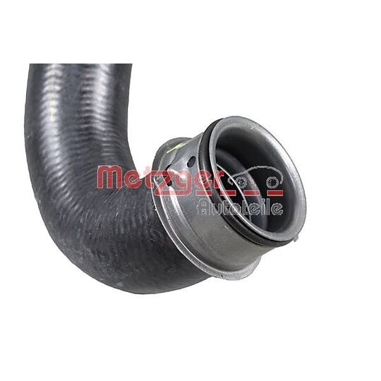 2421175 - Radiator Hose 