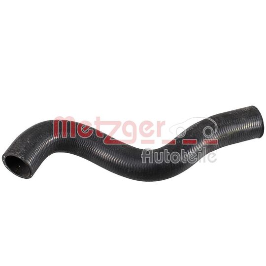 Radiator Hose