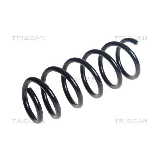 8750 11259 - Coil Spring 