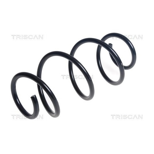 8750 25152 - Coil Spring 