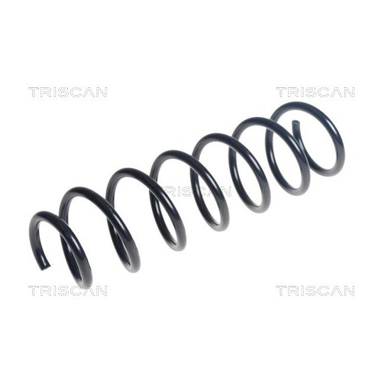 8750 11262 - Coil Spring 